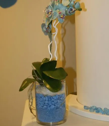 호텔 Turquoise 3*