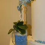 فندق Turquoise 3*